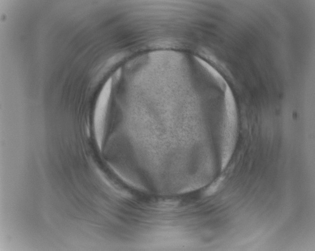 X0000071340062200607141941