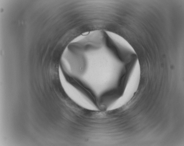 X0000071340140200607141940