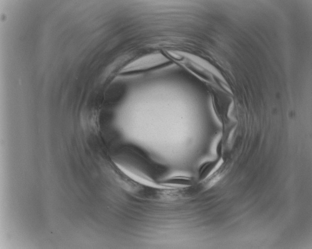 X0000071340141200607141940