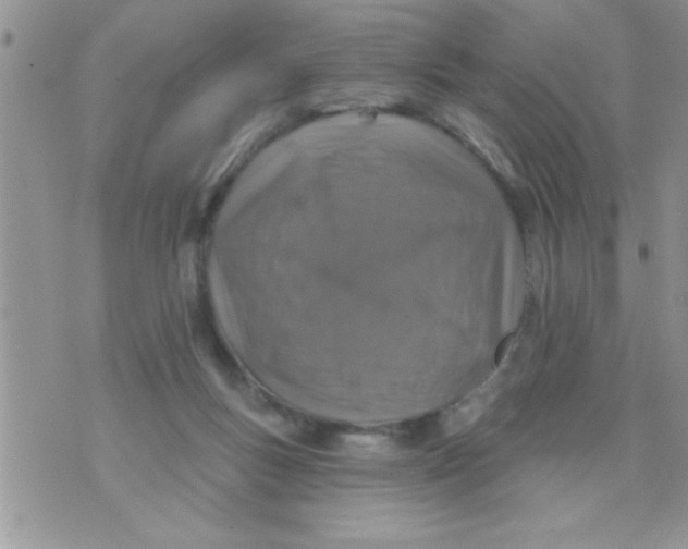 X0000071340167200607141939