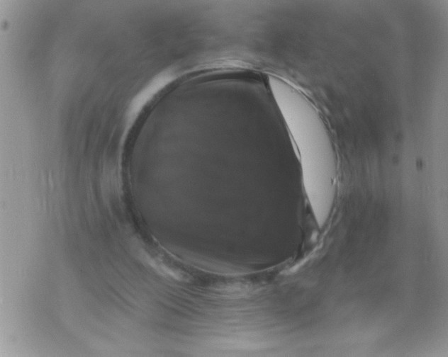 X0000071340200200607141939