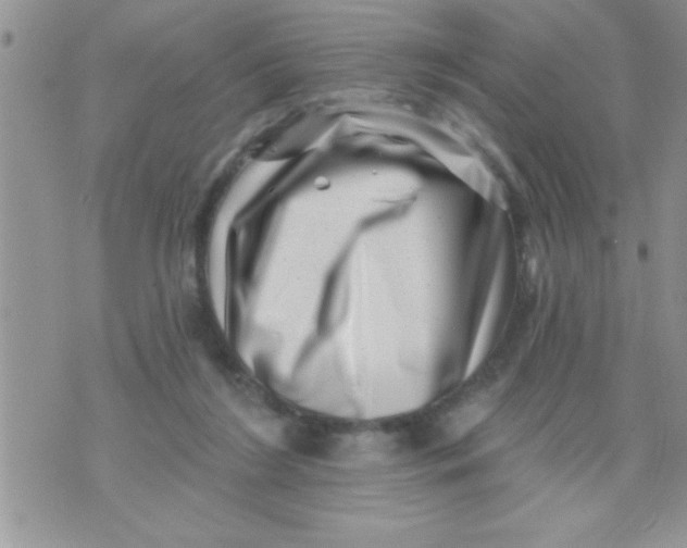 X0000071340212200607141939