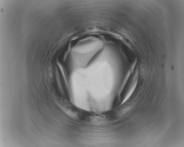 X0000071340215200607141938