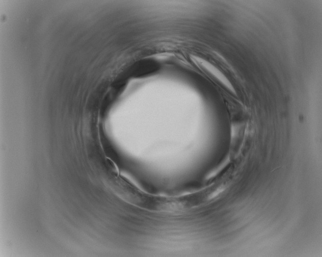 X0000071340217200607141938