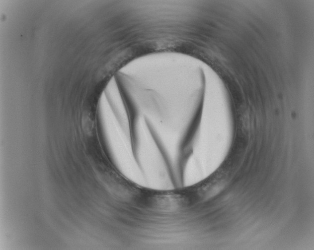 X0000071340316200607141937