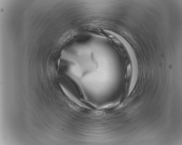X0000071340333200607141937