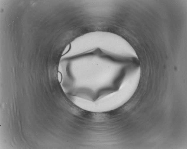 X0000071340336200607141937