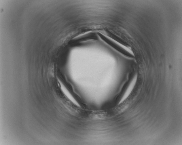 X0000071340368200607141936