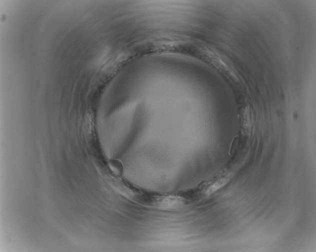 X0000071340463200607141935