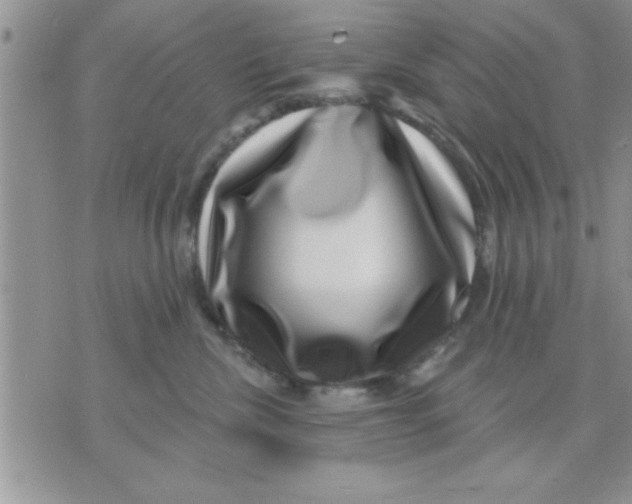 X0000071340476200607141935