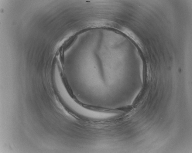 X0000071340485200607141934