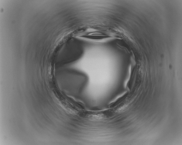 X0000071340548200607141933