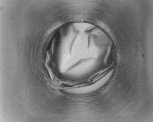 X0000071340673200607141931