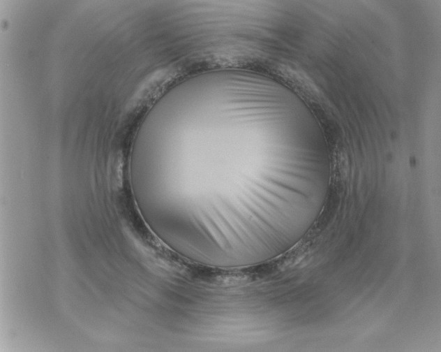 X0000071340694200607141931