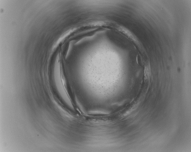 X0000071340722200607141930