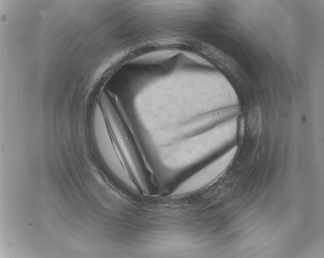 X0000071340732200607141930