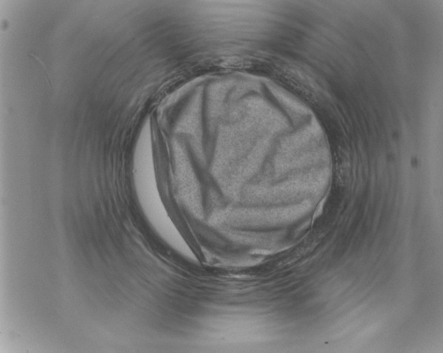 X0000071340748200607141930