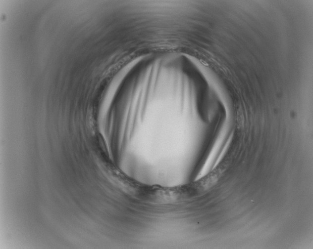 X0000071340764200607141930