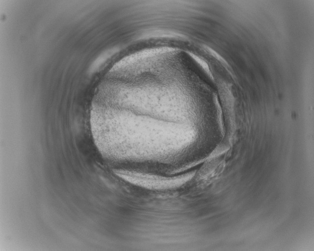 X0000071340775200607141929