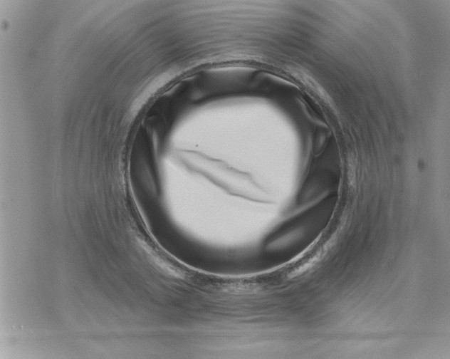 X0000071340789200607141929