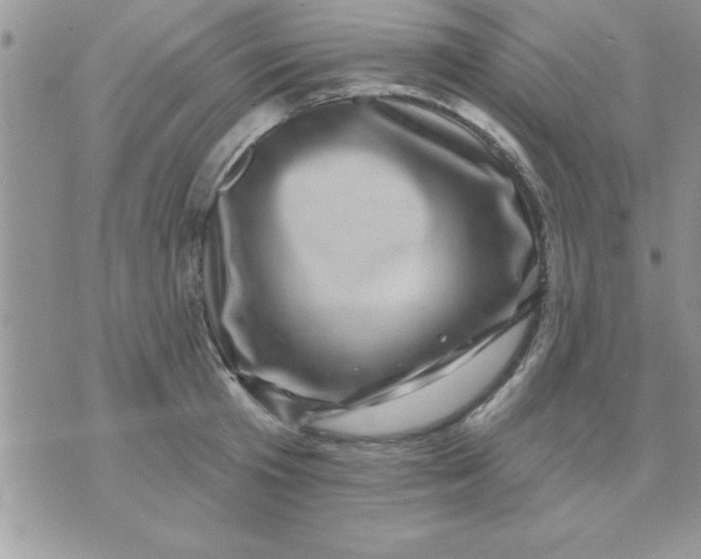 X0000071340801200607141929