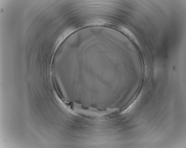 X0000071340802200607141929