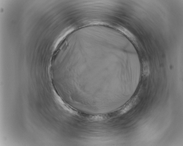 X0000071340806200607141929