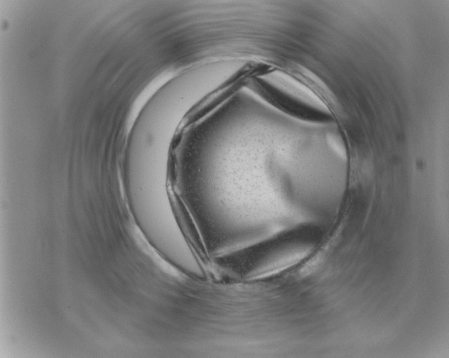 X0000071340812200607141929