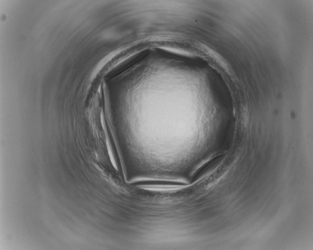 X0000071340829200607141928