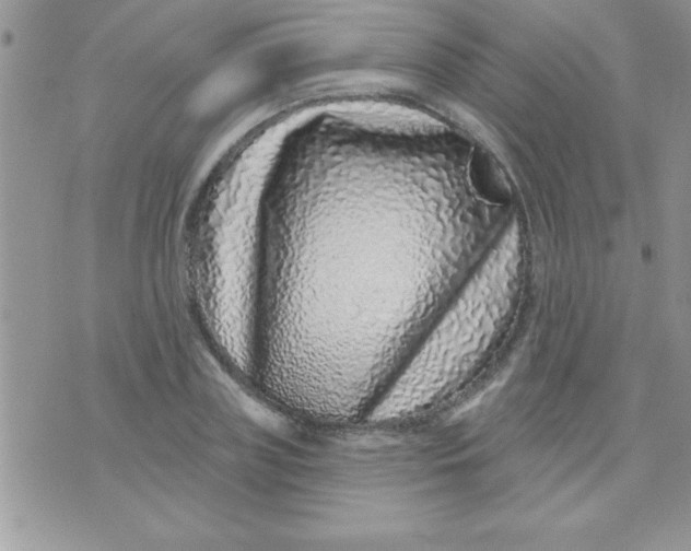 X0000071340835200607141928