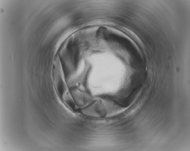 X0000071340855200607141929