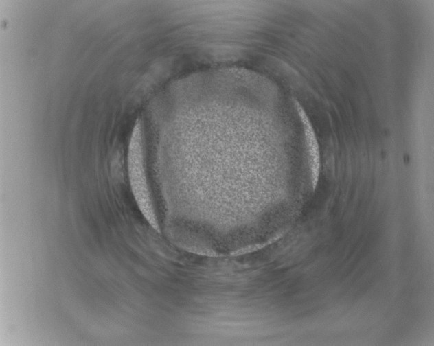 X0000071340866200607141928