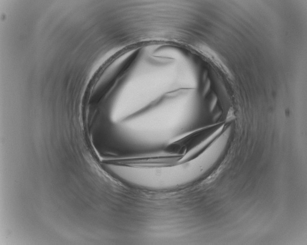 X0000071340884200607141928