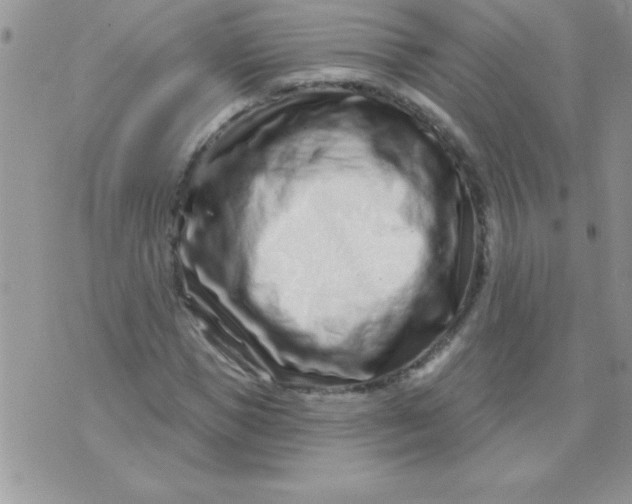 X0000071340921200607141927