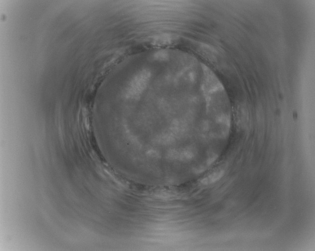 X0000071340962200607141926