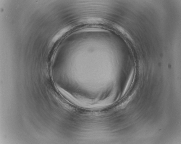 X0000071340970200607141926