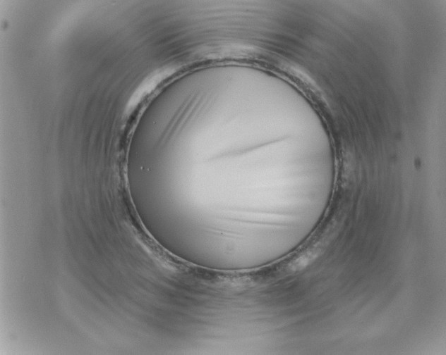 X0000071340978200607141926