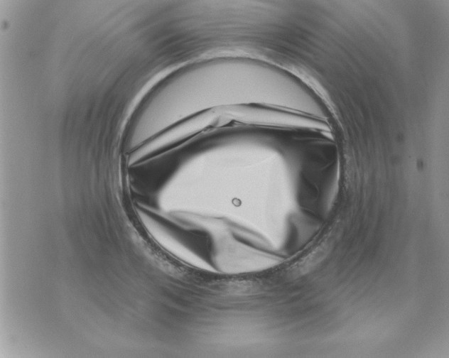 X0000071340984200607141926