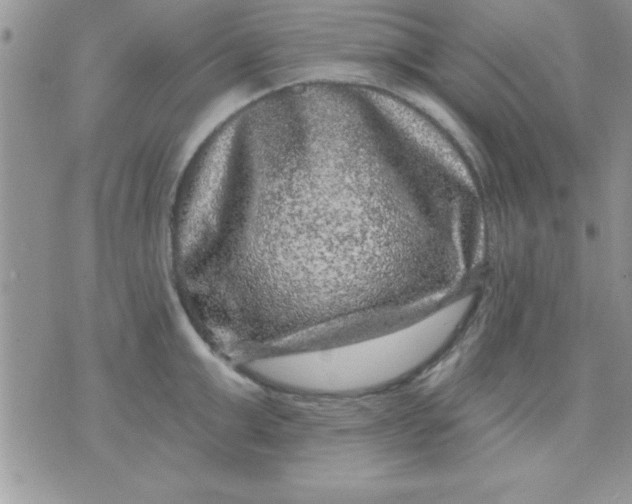 X0000071340999200607141926
