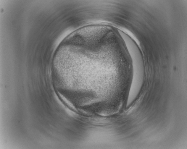 X0000071341007200607141926