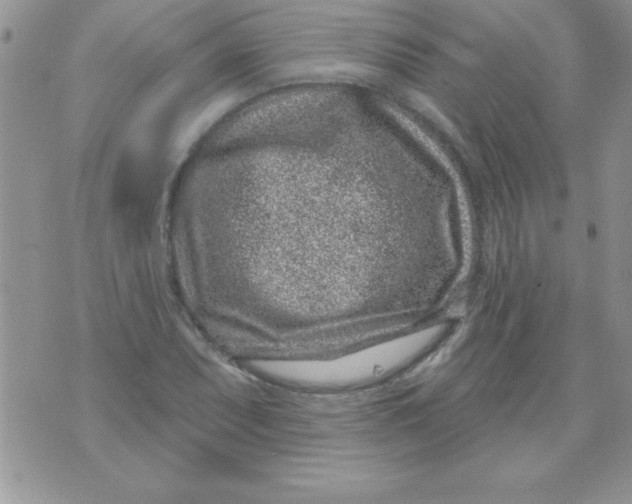 X0000071341071200607141925