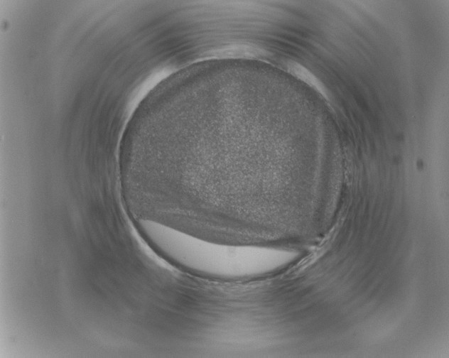 X0000071341087200607141924