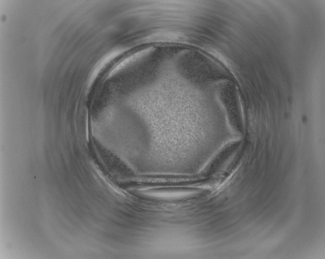 X0000071341123200607141924