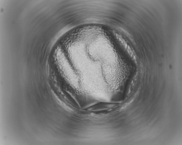 X0000071341125200607141924
