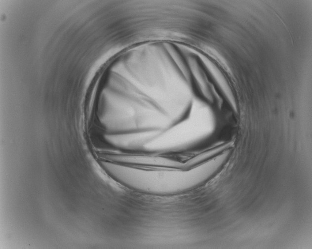 X0000071341136200607141924