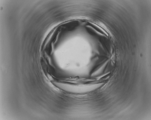 X0000071341140200607141924