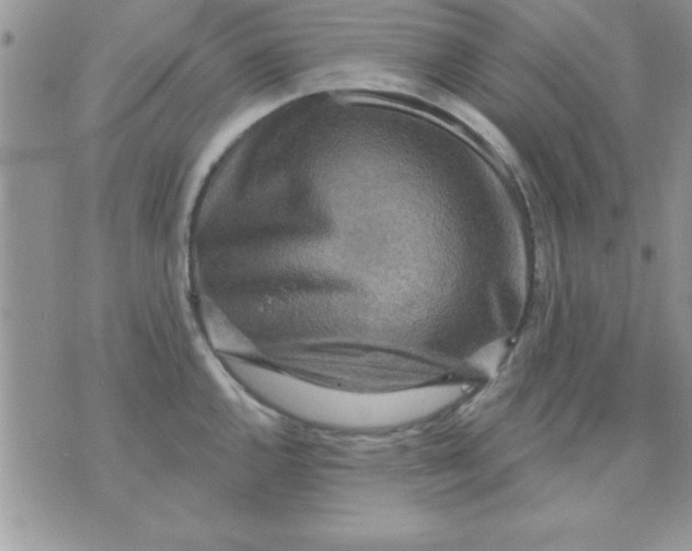 X0000071341144200607141924