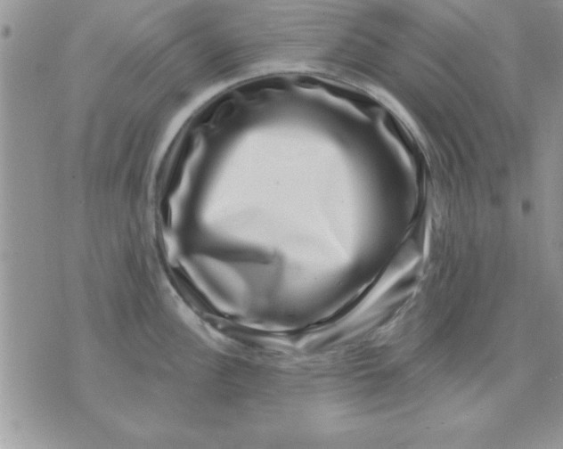 X0000071341148200607141924