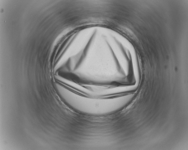 X0000071341172200607141923