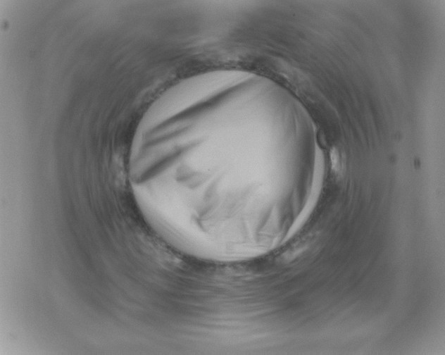 X0000071341203200607141922